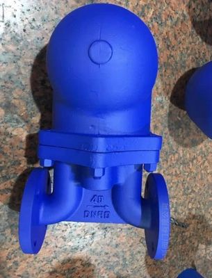 Durable Inverted Steam Trap Valve with Customized OBM Support and Ductile Iron Body