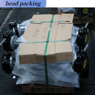 SS DN25 Double Orifice Quick Automatic Vent Air Release Valve with Complete Certificate