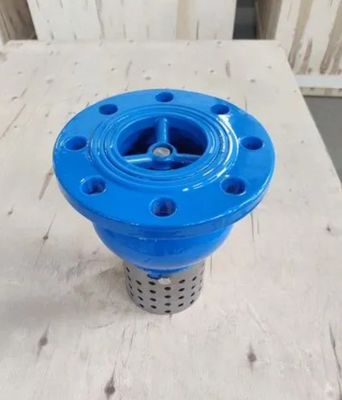 DN40-300 Ductile Cast Iron Flanged Air Release Valves with Automatic Release Function