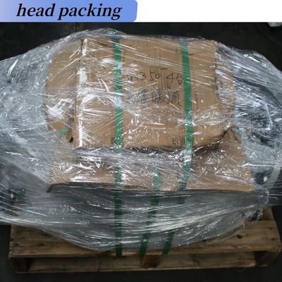 OBM Customized Support DIN F6 Y Strainer Flanged Type Y Type Female Thread Strainer