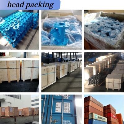 OBM Customized Support DIN F6 Y Strainer Flanged Type Y Type Female Thread Strainer