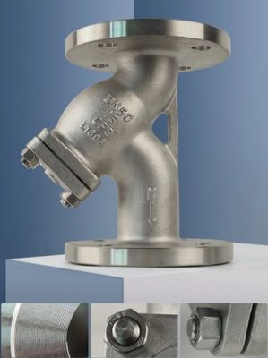 General Stainless Steel CF8/CF8M Low Temperature Cold Treatment 40 Mesh RF Ends Y Strainer