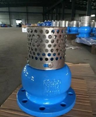 Customized Service WCB Cast Iron Flanged End Foot Valve for Durable and Fluid Control