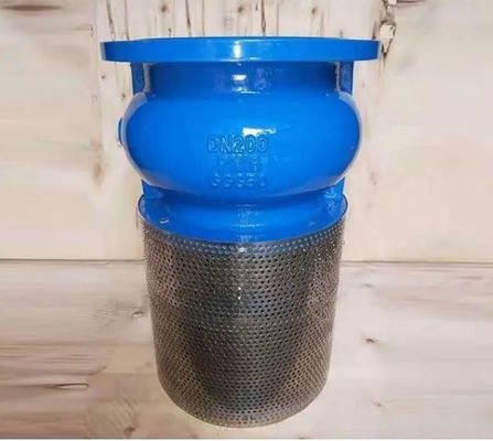 Customized Service WCB Cast Iron Flanged End Foot Valve for Durable and Fluid Control