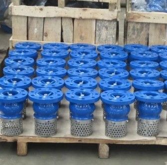 Customized Service WCB Cast Iron Flanged End Foot Valve for Durable and Fluid Control