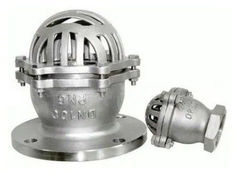 Excellent Low Temperature Foot Valve for Heavy Duty Applications