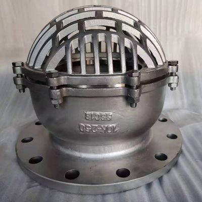 Stop Structure Flange End Ductile Cast Iron Accessory Suction Foot Valve for Performance