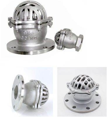 Custom Design Cast Iron Foot/Bottom Valves for Water Media Applications