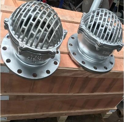 Custom Design Cast Iron Foot/Bottom Valves for Water Media Applications