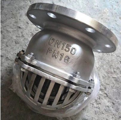 Custom Design Cast Iron Foot/Bottom Valves for Water Media Applications