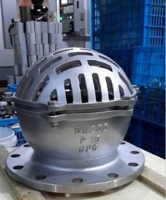Cast Iron Water Pump Foot Valve with Stainless Steel 304 Mush PN10 PN16 ANSI and Support