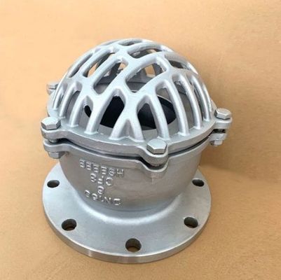Dependable Performance and Support for Marine Cast Iron Flanged End Foot Valve