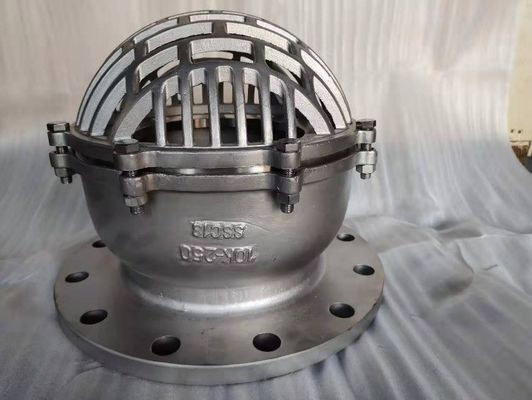 Dependable Performance and Support for Marine Cast Iron Flanged End Foot Valve