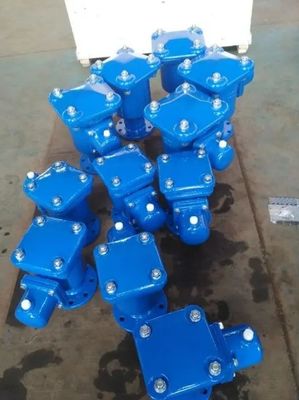 Water Media Modern Design Automatic Double Orifice Exhaust Gas Quick Release Valve for Air Balance