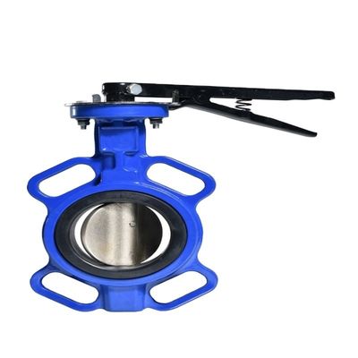 Customized Ductile Cast Iron Double Ball Auto Air Release Valve PN10 PN16 DN50-DN300