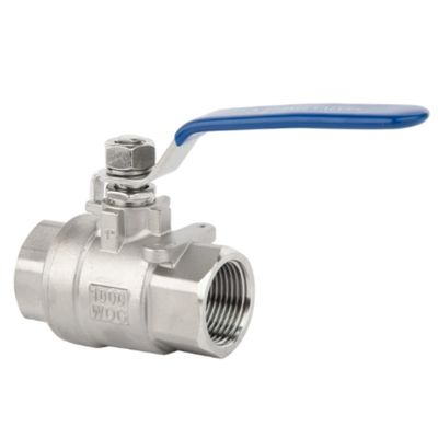 Customized Ss Stainless Steel 2PC Ball Valves 304ss 316ss for Heavy Industries