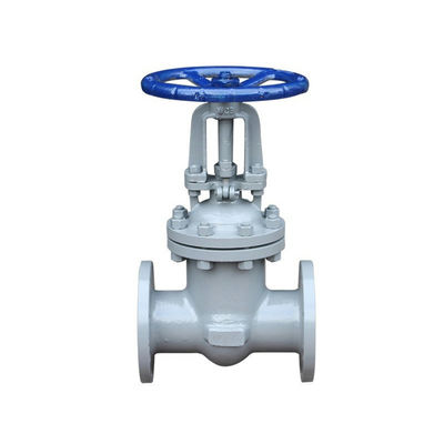 Customized ANSI PN16 80mm 100mm 200mm Manual Cast Iron Flanged Type Gate Sluice Valve
