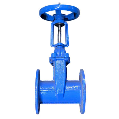 ODM Support F4 GGG50 PN10/PN16 Cast Iron Gate Valve with Bronze Seal and Metal Seat