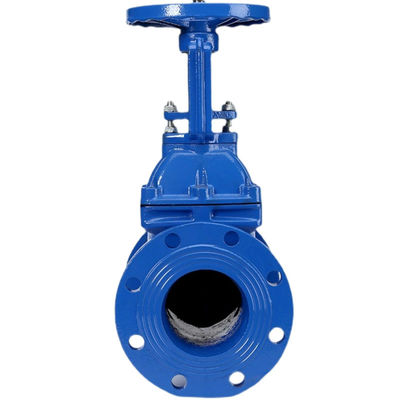 CUSTOMIZED Port Size Nodular Cast Iron Flange Gate Valve for Sewage and Fire Fighting
