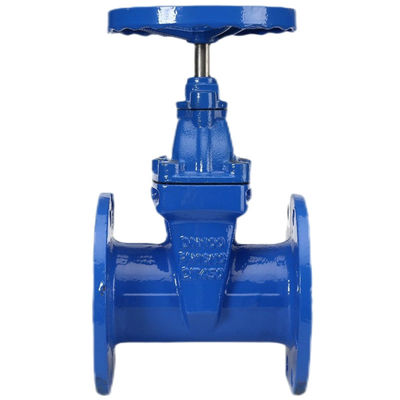 CUSTOMIZED Port Size Nodular Cast Iron Flange Gate Valve for Sewage and Fire Fighting