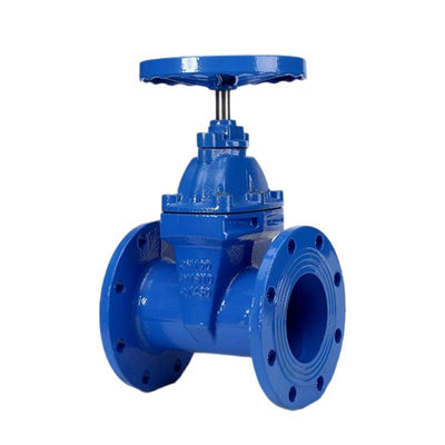 CUSTOMIZED Port Size Nodular Cast Iron Flange Gate Valve for Sewage and Fire Fighting