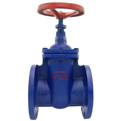 DN100 Cast Iron Dark Rod Gate Valve with Manual Operation and Double Flange Connection