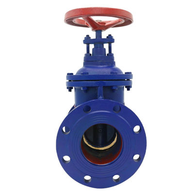 DN100 Cast Iron Dark Rod Gate Valve with Manual Operation and Double Flange Connection