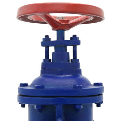 DN100 Cast Iron Dark Rod Gate Valve with Manual Operation and Double Flange Connection